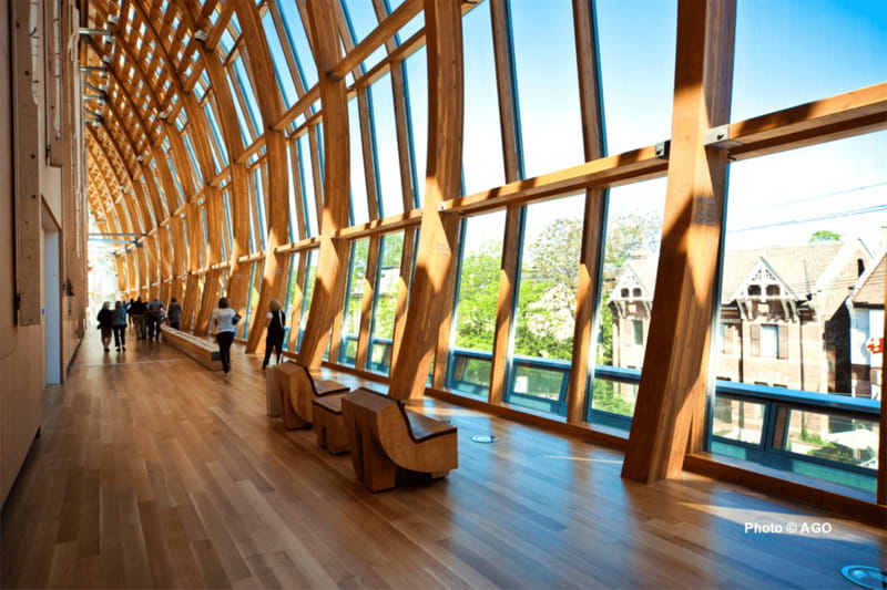 Toronto: Art Gallery of Ontario General Admission Ticket - Rules That Save You Hassle: Bags, Pets, Photos, and Art-Respect