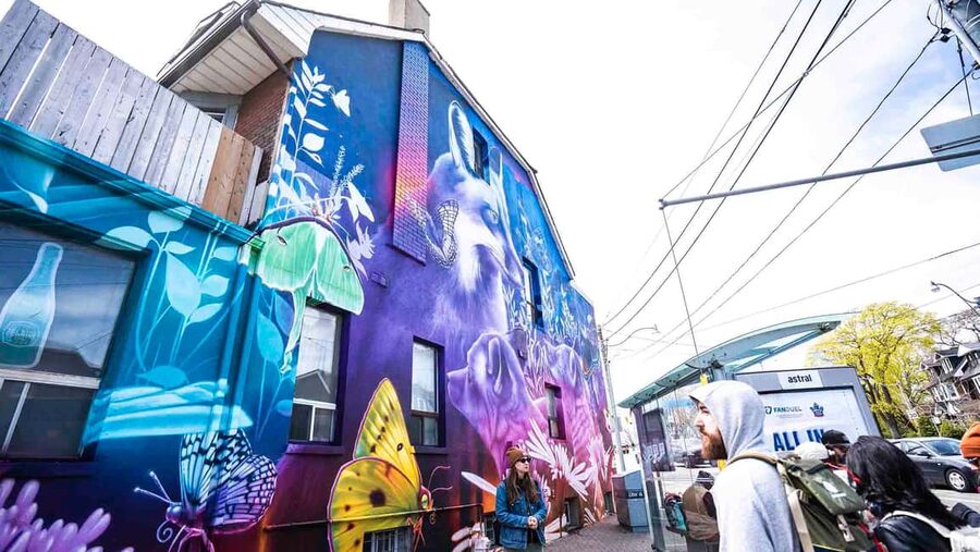 Toronto: Must Do NonTouristy Street Art Tour by local Artist - The guide matters: local street-artist storytelling and Q&A that doesn’t feel rushed