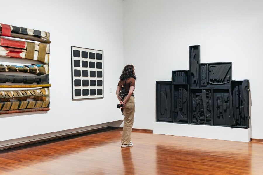 Turin: Gallery of Modern and Contemporary Art Entry Ticket - What this ticket is best for (and who may want to skip it)