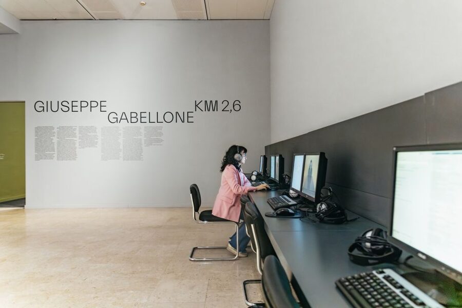 Turin: Gallery of Modern and Contemporary Art Entry Ticket - The Warhol, Chagall, and Medardo Rosso works you should prioritize
