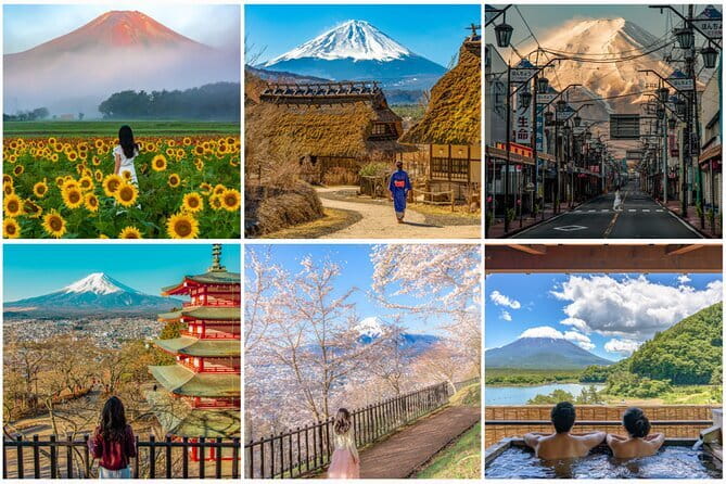 Ueno and Yanaka Culture Art Walking Tour in Old Tokyo - Stop 2: Ueno Park temples, shrine vibes, and a lake-side reset