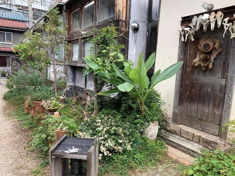 Urban Canvas: Osaka Street Art Bike Tour - Why Osaka’s street art looks different on two wheels