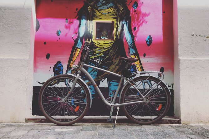 Valencia Street Art | Private Tour by Bike or Electric Ride - Price and Value: Is $72.01 Worth It?