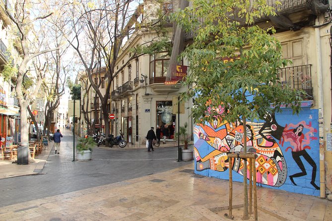 Valencia Street Art | Private Tour by Bike or Electric Ride - Who This Private Valencia Street Art Bike Tour Fits Best
