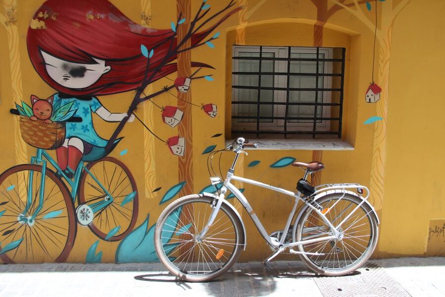 Valencia: Street Art Tour on Bicycle, E-Bike or E-Step - The Great Flood of 1957: Why El Carmen Became an Open-Air Gallery