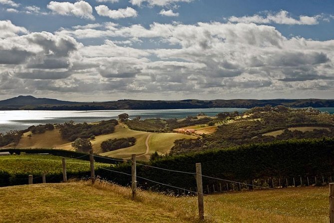 Waiheke Island Private Art Tour - Stop 1: Waiheke Community Art Gallery and what to look for