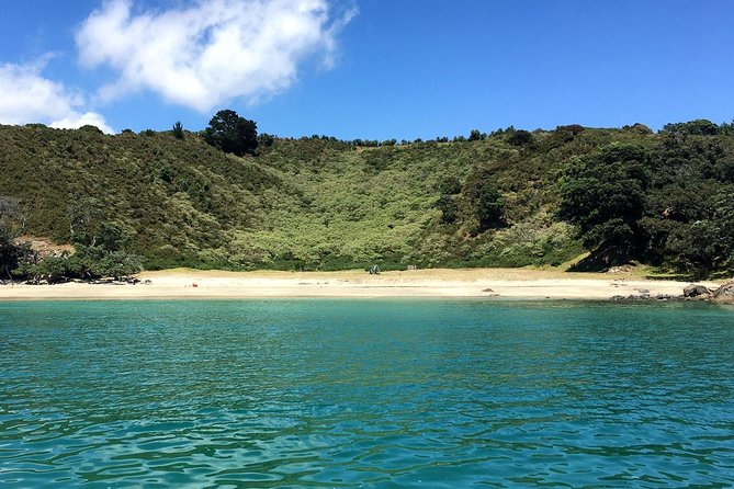 Waiheke Island Private Art Tour - Stop 2: Gabriella Lewenz Studio Gallery and the power of an artist’s path