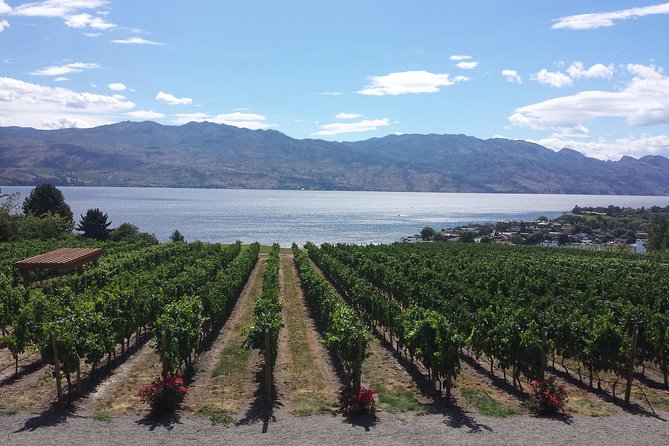 West Kelowna Gallery Of Grapes Wine Tour - Key highlights worth your attention
