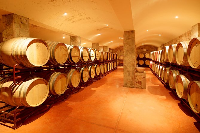 Wine Tasting and Art Tour - Quinta dos Vales: a wine estate tour with an art garden twist