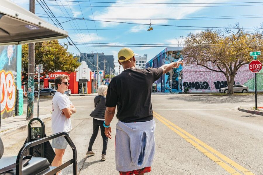 Wynwood Art District 1-Hour Street Art Tour by Golf Cart - When art happens live: artist work in progress and meeting the people