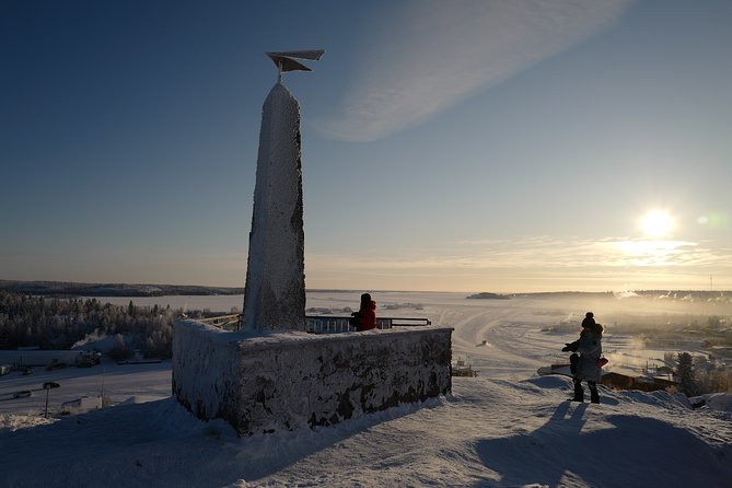 Yellowknife City Tour + Nature's North Wildlife Gallery - Yellowknife Visitor Centre: quick orientation plus small local perks