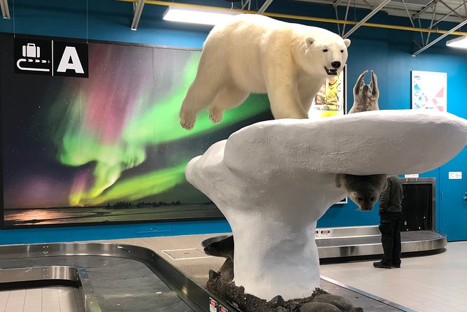 Yellowknife City Tour + Nature's North Wildlife Gallery - Nature’s North Wildlife Gallery: taxidermy artistry and Arctic taxonomy