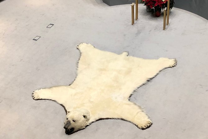 Yellowknife City Tour + Nature's North Wildlife Gallery - How the tour actually feels: language, comfort, and timing
