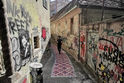 Zagreb Street Art Private Walking Tour with a Local Artist - Opatovina Park Walls: A Quick Stop That Sets the Tone