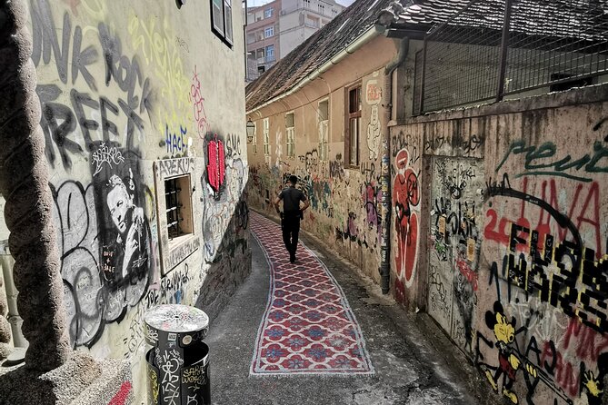 Zagreb Street Art Private Walking Tour with a Local Artist - Opatovina Park Walls: A Quick Stop That Sets the Tone